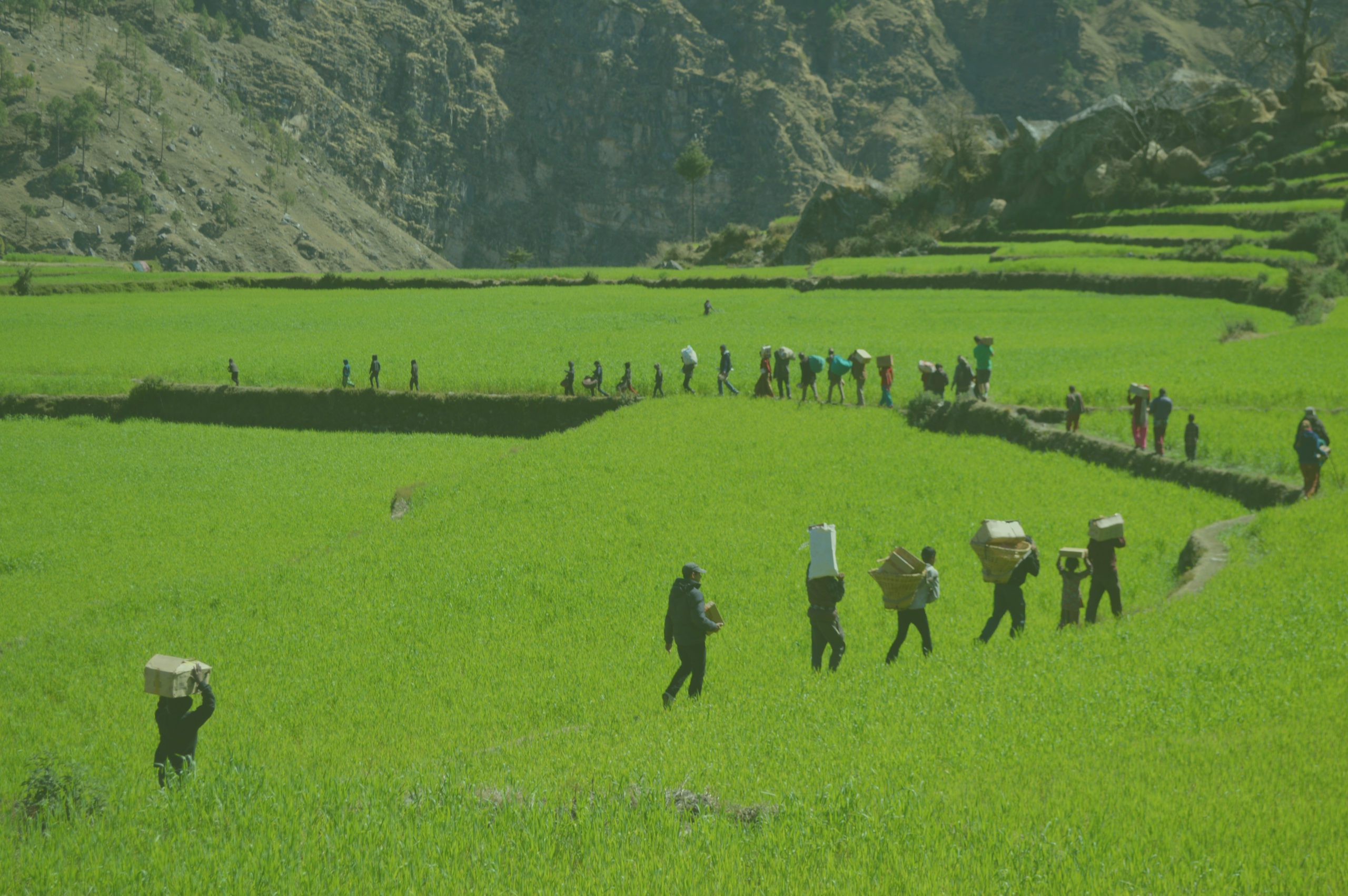 2016 Annual Report LATEST NEWS